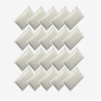 Super Absorber Capsules (20 pack)