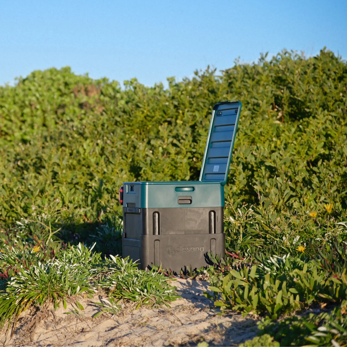 A black and teal sealing toilet with an open lid, placed on sandy dunes among green coastal plants under a clear blue sky.